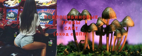 бошки Армянск