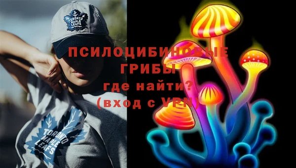 бошки Армянск