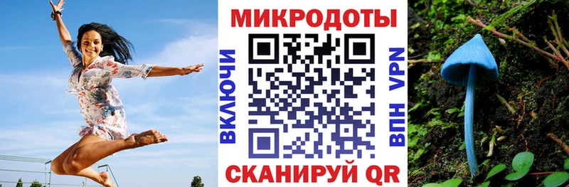 Галлюциногенные грибы Psilocybe  Москва 